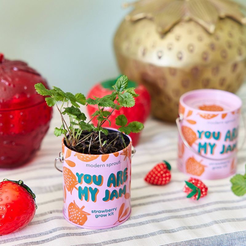 slide 9 of 21, Modern Sprout Complimentary Color Grow You are my Jam Strawberry Seed Starter Kit, 1 ct