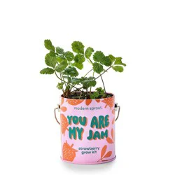 Modern Sprout Complimentary Color Grow You are my Jam Strawberry Seed Starter Kit