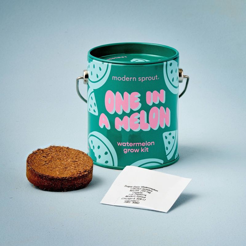 slide 3 of 10, Modern Sprout Watermelon Complimentary Color Grow One in a Melon Seed Starter Kit, 1 ct