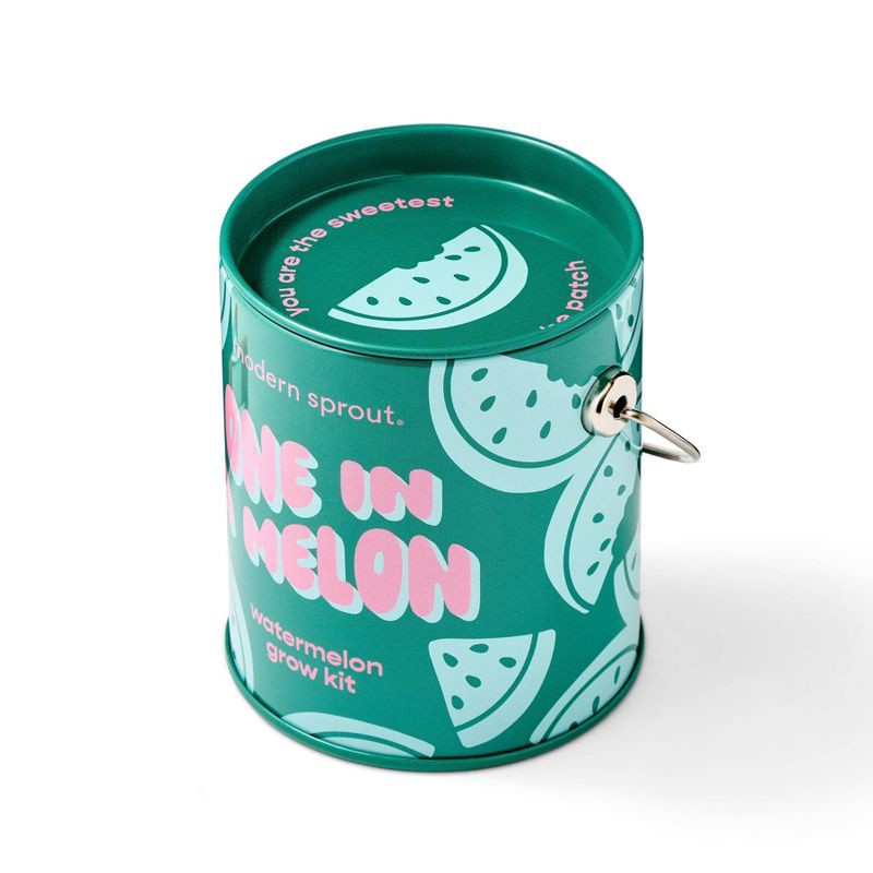 slide 6 of 10, Modern Sprout Watermelon Complimentary Color Grow One in a Melon Seed Starter Kit, 1 ct