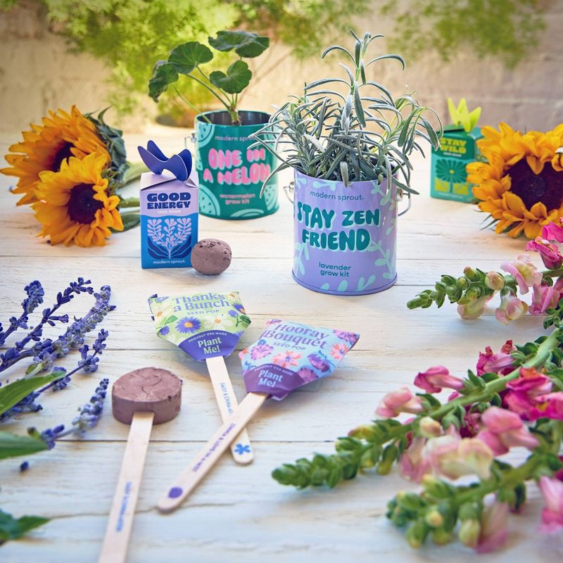 slide 9 of 10, Modern Sprout Lavender Complimentary Color Grow Stay Zen Friend Seed Starter Kit, 1 ct