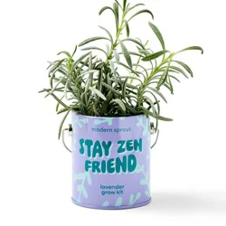 Modern Sprout Lavender Complimentary Color Grow Stay Zen Friend Seed Starter Kit