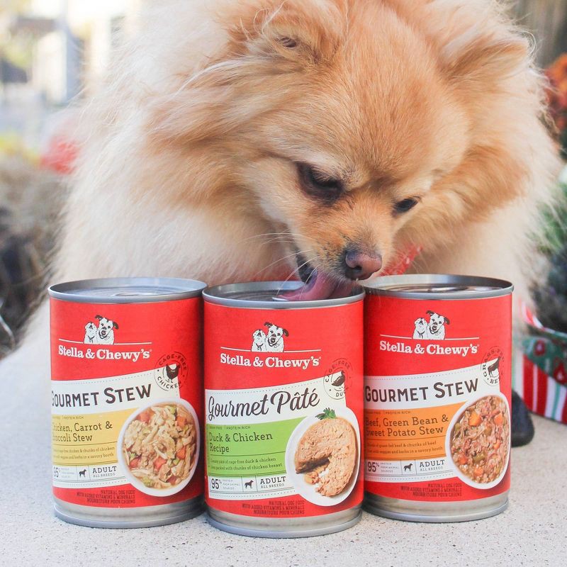 slide 4 of 4, Stella & Chewy's Gourmet Beef Flavor Wet Dog Food - 12.5oz, 12.5 oz