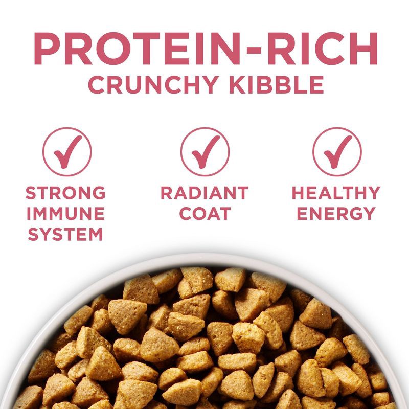 slide 3 of 9, Purina ONE Plus Seafood, Fish and Salmon Flavor Skin and Coat Dry Dog Food - 8lbs, 8 lb