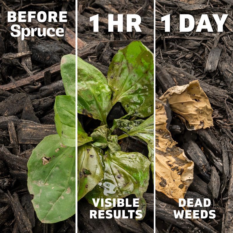 slide 2 of 11, Spruce Weed and Grass Killer Spray 24 oz, 24 oz