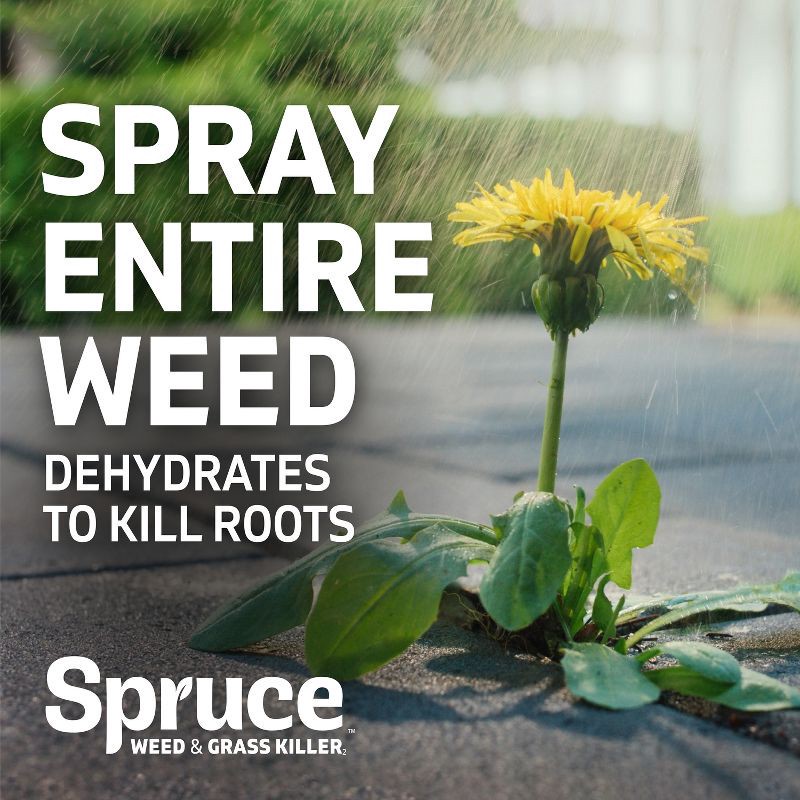 slide 5 of 11, Spruce Weed and Grass Killer Spray 24 oz, 24 oz
