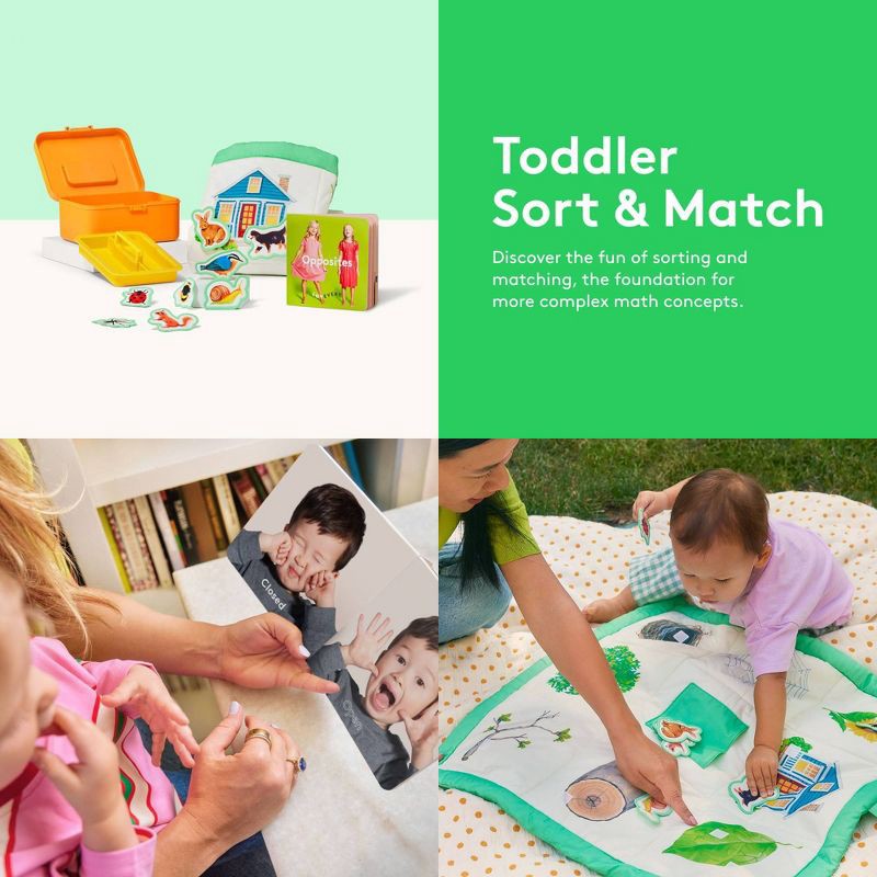 slide 3 of 10, Lovevery Toddler Sort & Match Play Collection Mini Kit 17m+ - 9pc, 9 ct