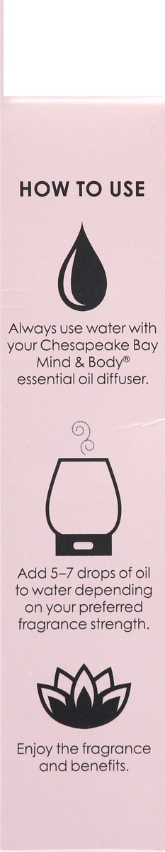 slide 7 of 9, Chesapeake Bay Candle Chesapeake Bay Essential Oil Purify, 0.33 oz