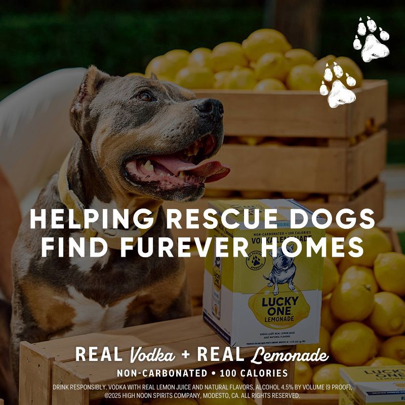 slide 4 of 8, Lucky One Variety RTD Pack - 8pk/355ml Cans, 8 ct, 355 ml