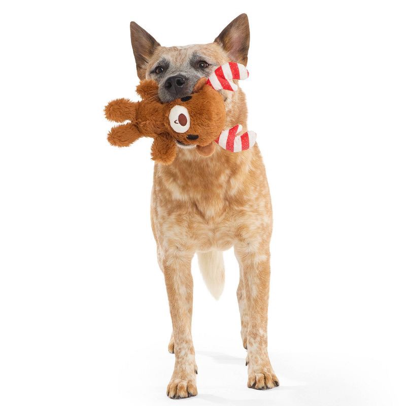 slide 4 of 4, BARK Howly Jowly Holidays Merry Candy Cane-deer Plush Dog Toy, 1 ct