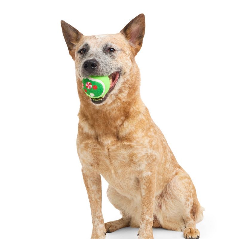 slide 3 of 4, BARK Howly Jowly Holidays Jolly Dough Bros Ball Dog Toy, 1 ct