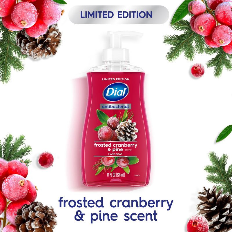 slide 2 of 9, Dial Antibacterial Liquid Hand Soap Pump - Frosted Cranberry & Pine - 11 fl oz, 11 fl oz