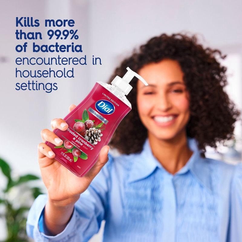 slide 3 of 9, Dial Antibacterial Liquid Hand Soap Pump - Frosted Cranberry & Pine - 11 fl oz, 11 fl oz