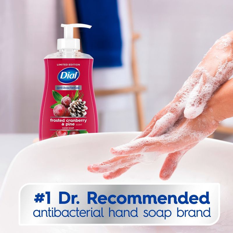 slide 4 of 9, Dial Antibacterial Liquid Hand Soap Pump - Frosted Cranberry & Pine - 11 fl oz, 11 fl oz