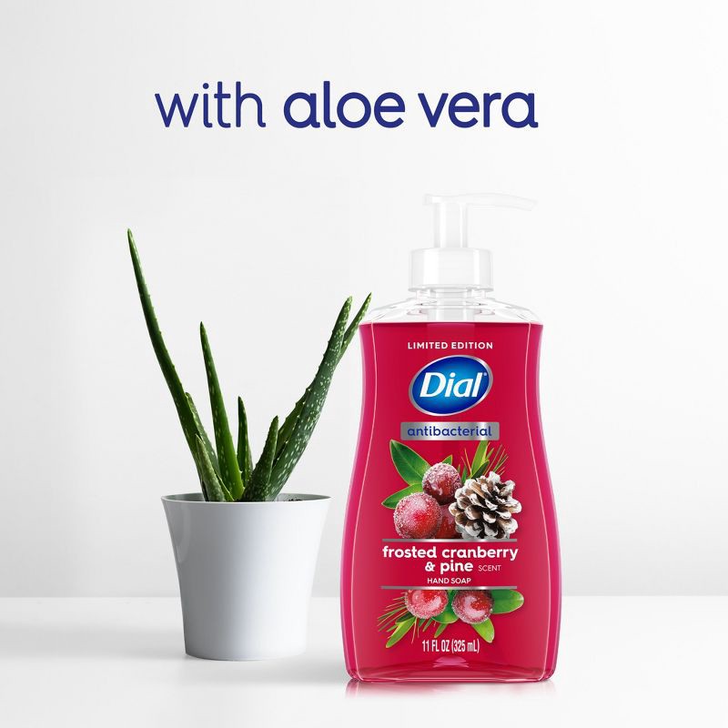 slide 5 of 9, Dial Antibacterial Liquid Hand Soap Pump - Frosted Cranberry & Pine - 11 fl oz, 11 fl oz