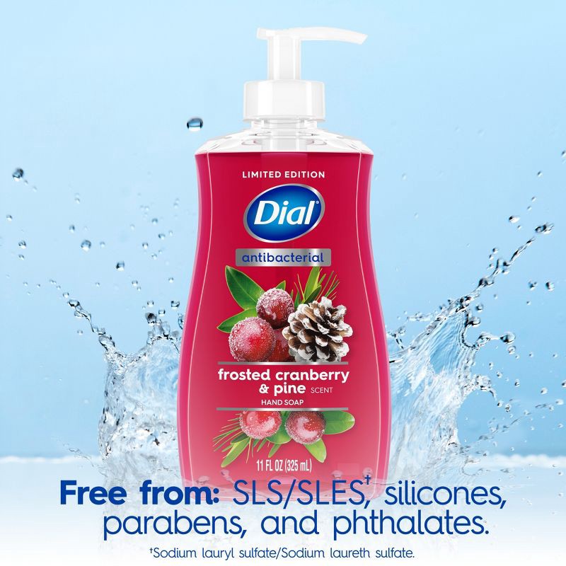 slide 6 of 9, Dial Antibacterial Liquid Hand Soap Pump - Frosted Cranberry & Pine - 11 fl oz, 11 fl oz
