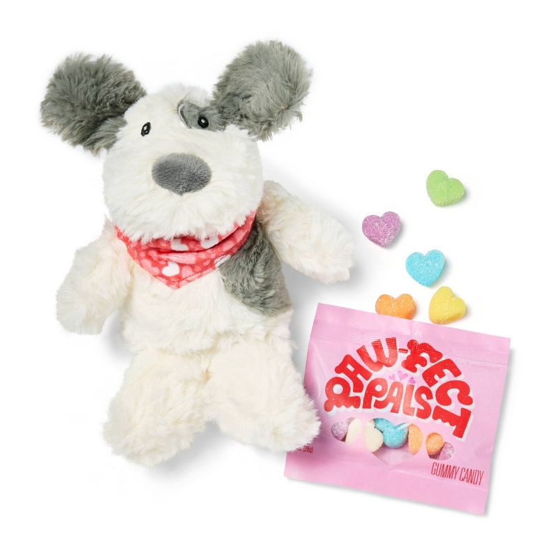 slide 4 of 4, Valentine's Puppy Plush with Rainbow Hearts Candy - 1oz - Favorite Day™, 1 oz