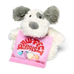 Valentine's Puppy Plush with Rainbow Hearts Candy - 1oz - Favorite Day™