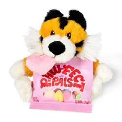 Valentine's Tiger Plush with Rainbow Hearts Candy - 1oz - Favorite Day™