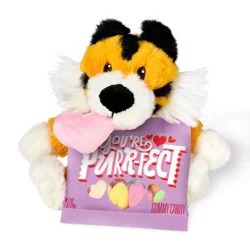 Valentine's Tiger Plush with Rainbow Hearts Candy - 1oz - Favorite Day™