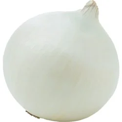 Organic Onion