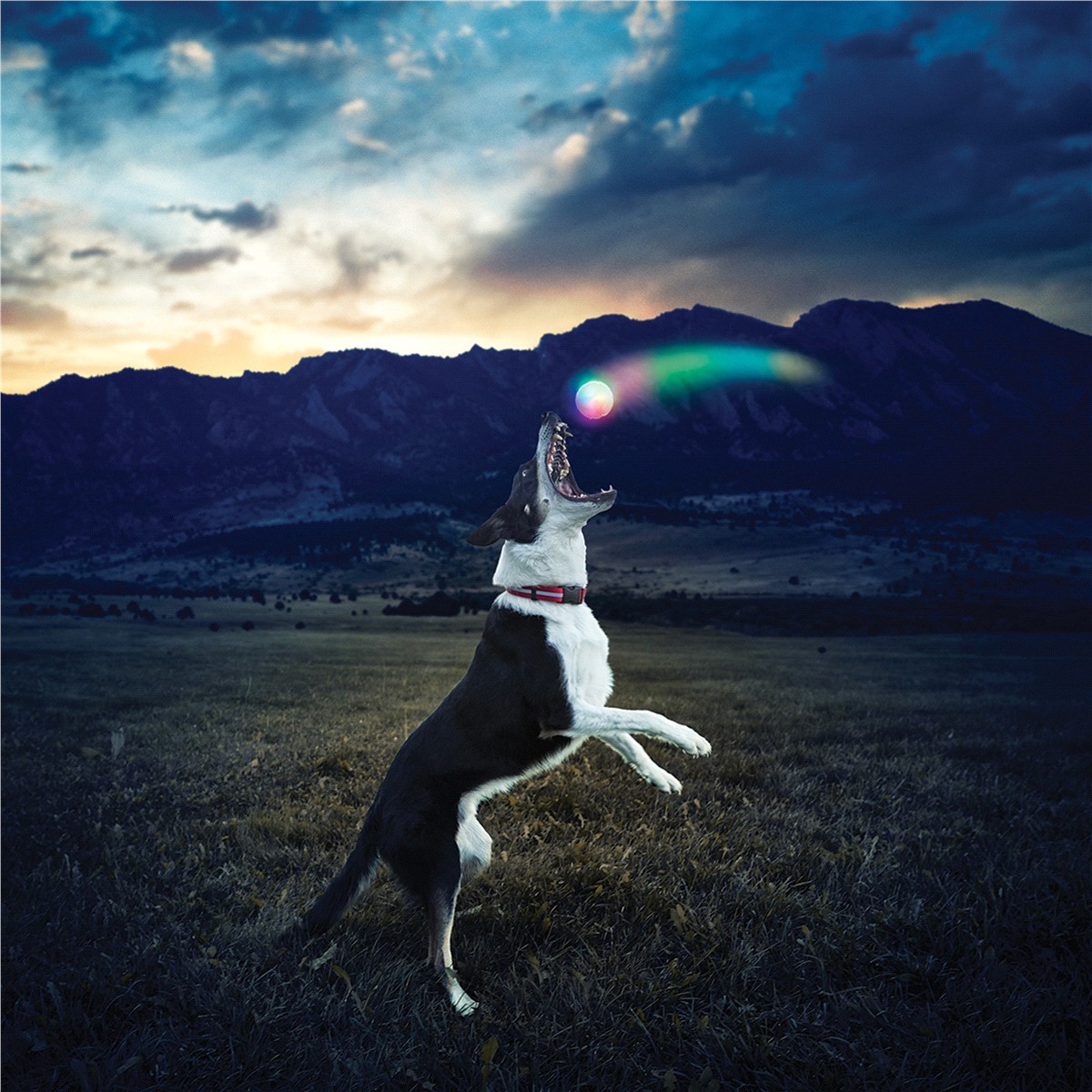 slide 9 of 29, Nite Ize GlowStreak Led Ball, Motion Activated, 1 ct