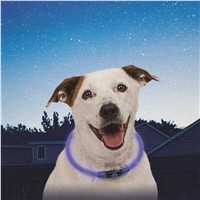 slide 3 of 29, Nite Ize LED Adjustable Dog Collar - Blue, 1 ct