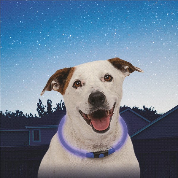 slide 4 of 29, Nite Ize LED Adjustable Dog Collar - Blue, 1 ct
