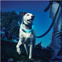 slide 7 of 29, Nite Ize LED Adjustable Dog Collar - Blue, 1 ct
