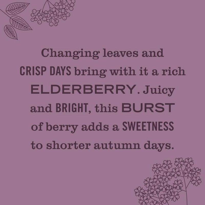 slide 2 of 8, Mrs. Meyer's Clean Day Large Soy Candle - Elderberry - 7.2oz, 7.2 oz