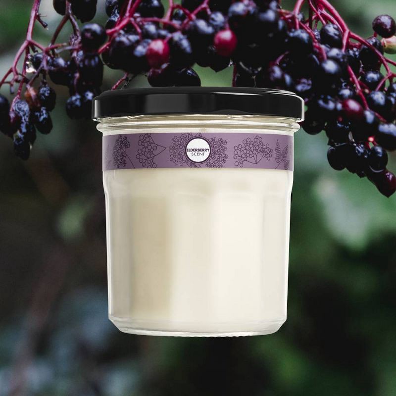 slide 4 of 8, Mrs. Meyer's Clean Day Large Soy Candle - Elderberry - 7.2oz, 7.2 oz