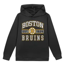 NHL Boston Bruins Toddler Boys' Hooded Sweatshirt - 3T