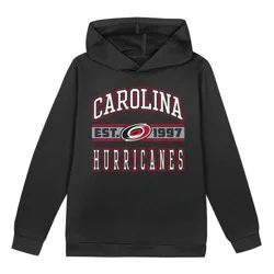 NHL Carolina Hurricanes Toddler Boys' Hooded Sweatshirt - 4T