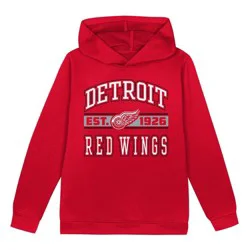 NHL Detroit Red Wings Toddler Boys' Hooded Sweatshirt - 4T
