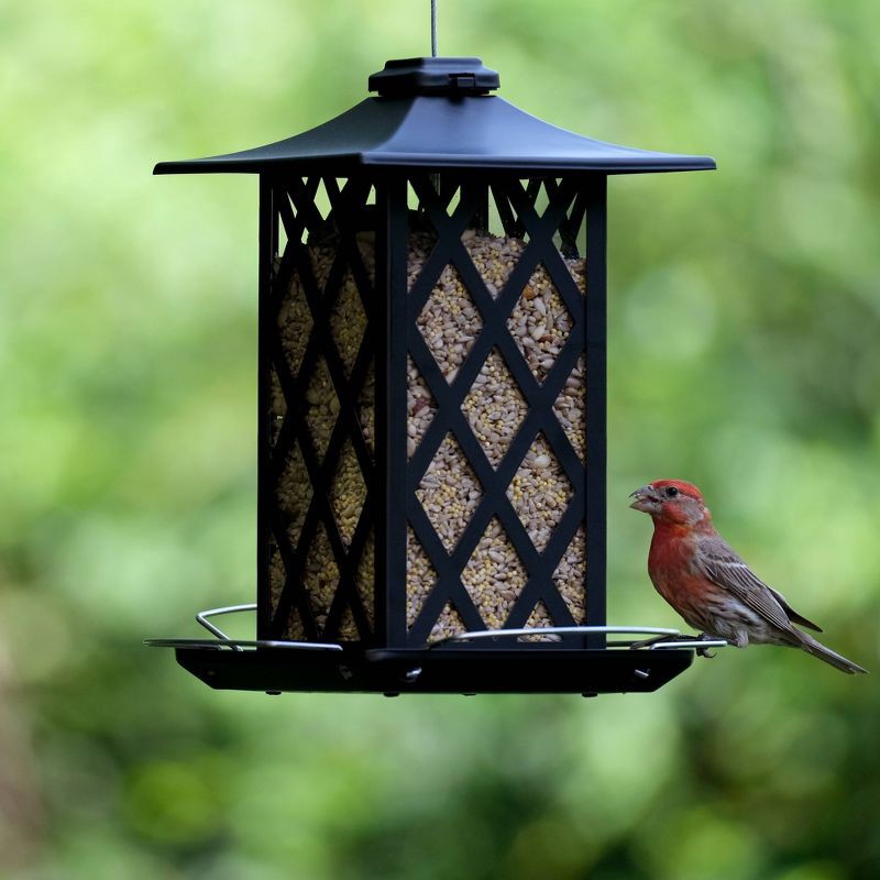 slide 2 of 9, Wild Wings Contemporary Lantern Metal Gazebo Bird Feeder 1.56qt, 1.56 qt