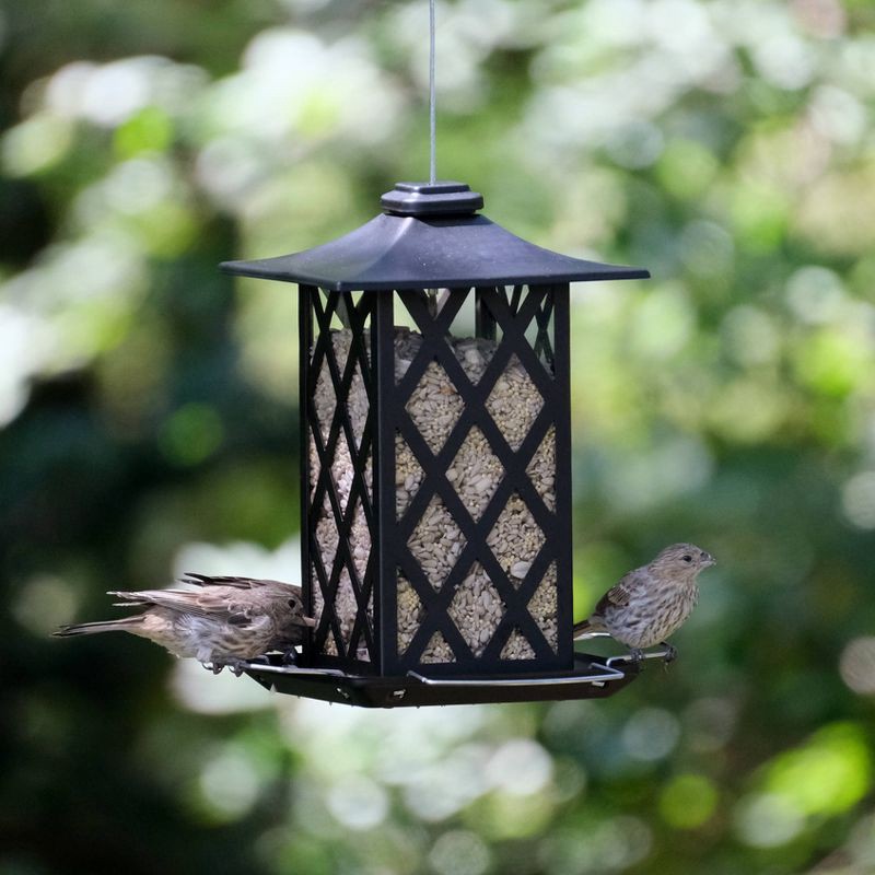 slide 3 of 9, Wild Wings Contemporary Lantern Metal Gazebo Bird Feeder 1.56qt, 1.56 qt