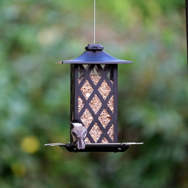slide 4 of 9, Wild Wings Contemporary Lantern Metal Gazebo Bird Feeder 1.56qt, 1.56 qt