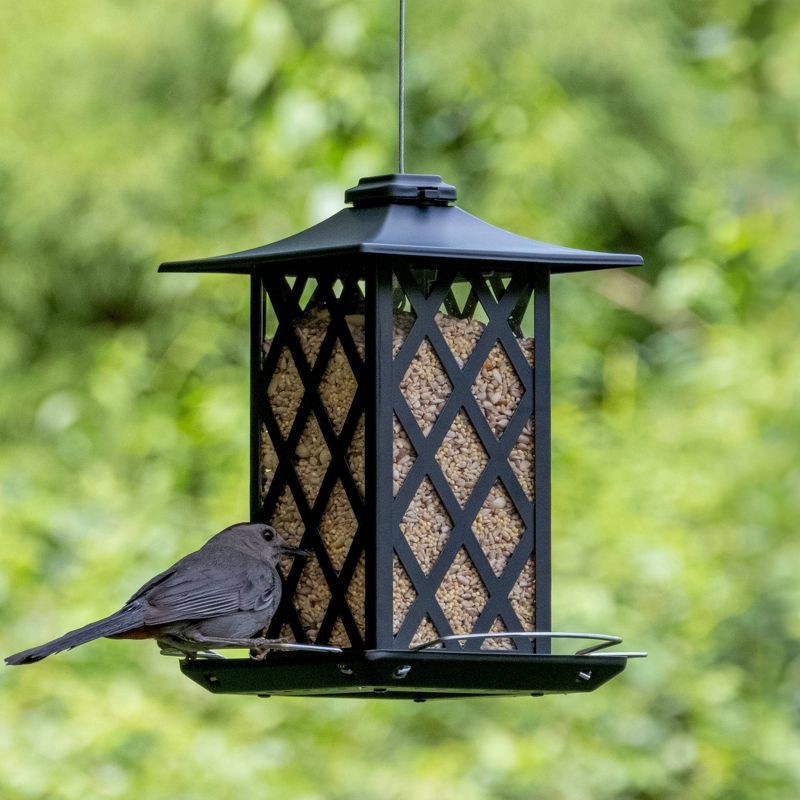 slide 5 of 9, Wild Wings Contemporary Lantern Metal Gazebo Bird Feeder 1.56qt, 1.56 qt