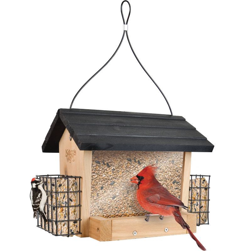 slide 1 of 1, Wild Wings Cedar 3 Quarts Hopper with Suet Cages, 3 qt