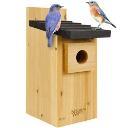 Wild Wings Cedar Bluebird House