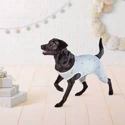 Gingerbread Dog Pajamas - Wondershop™ XL