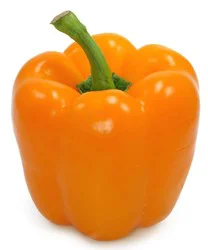 Fresh Organic Orange Bell Pepper