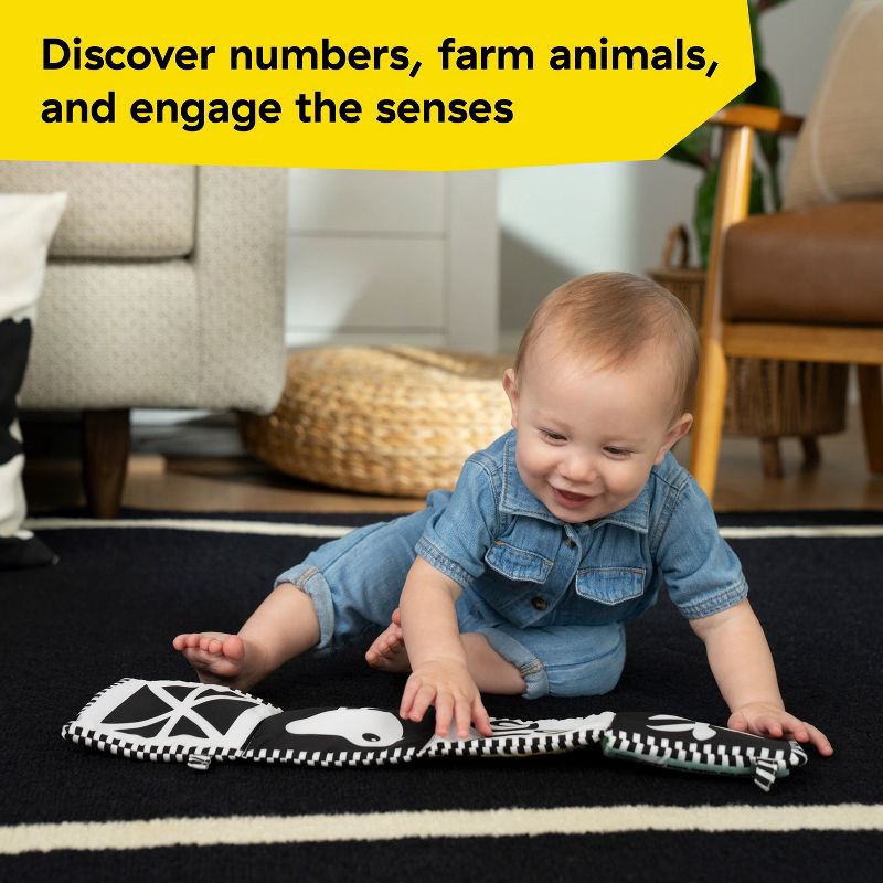 slide 3 of 8, Baby Einstein Farm Explorers Counting at the Farm Soft Activity Book - 0-36m, 1 ct