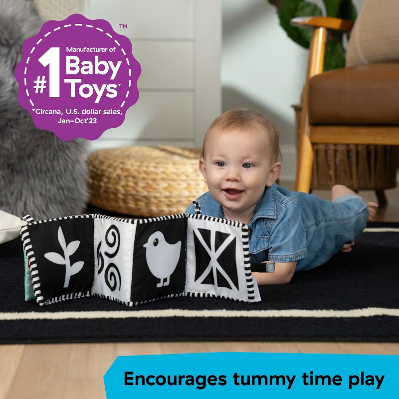 slide 8 of 8, Baby Einstein Farm Explorers Counting at the Farm Soft Activity Book - 0-36m, 1 ct