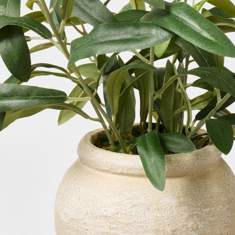 slide 4 of 4, Threshold designed w/Studio McGee Small Olive Leaf Arrangement - Threshold™ designed with Studio McGee, 1 ct