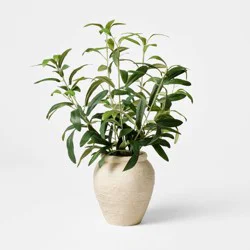 Threshold designed w/Studio McGee Small Olive Leaf Arrangement - Threshold™ designed with Studio McGee