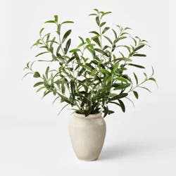 Threshold designed w/Studio McGee Large Olive Leaf Arrangement - Threshold™ designed with Studio McGee