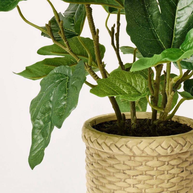 slide 4 of 4, Threshold designed w/Studio McGee Fig Leaf Arrangement - Threshold™ designed with Studio McGee, 1 ct