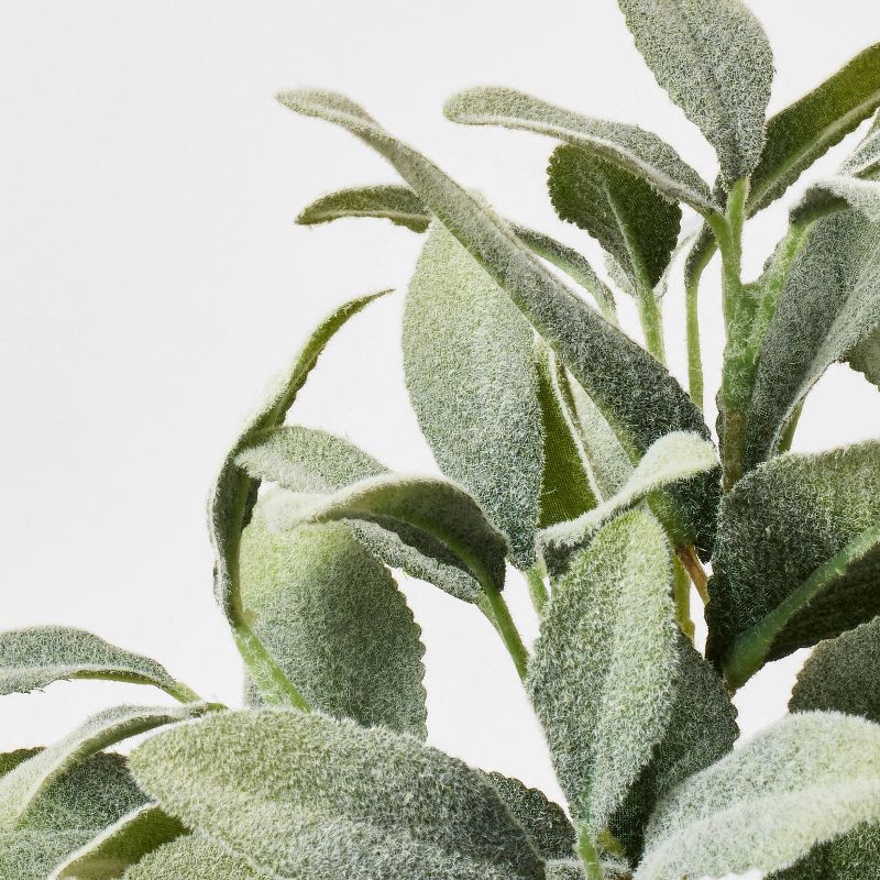 slide 3 of 4, Threshold designed w/Studio McGee Set of 3 Mini Potted Herbs - Threshold™ designed with Studio McGee, 1 ct