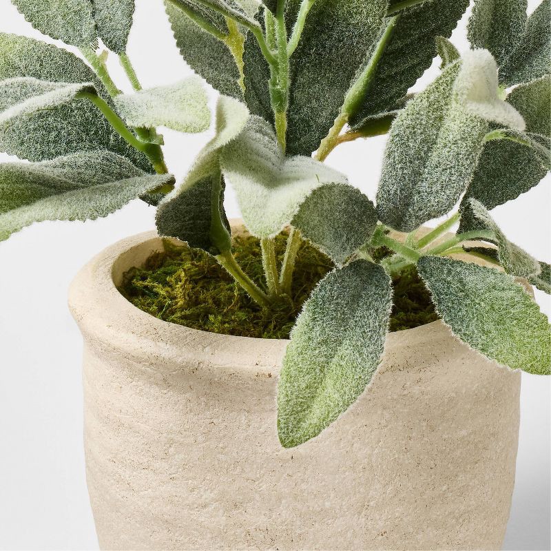 slide 4 of 4, Threshold designed w/Studio McGee Set of 3 Mini Potted Herbs - Threshold™ designed with Studio McGee, 1 ct